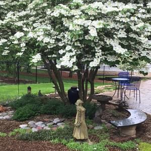 Meet your Posher, Kathy